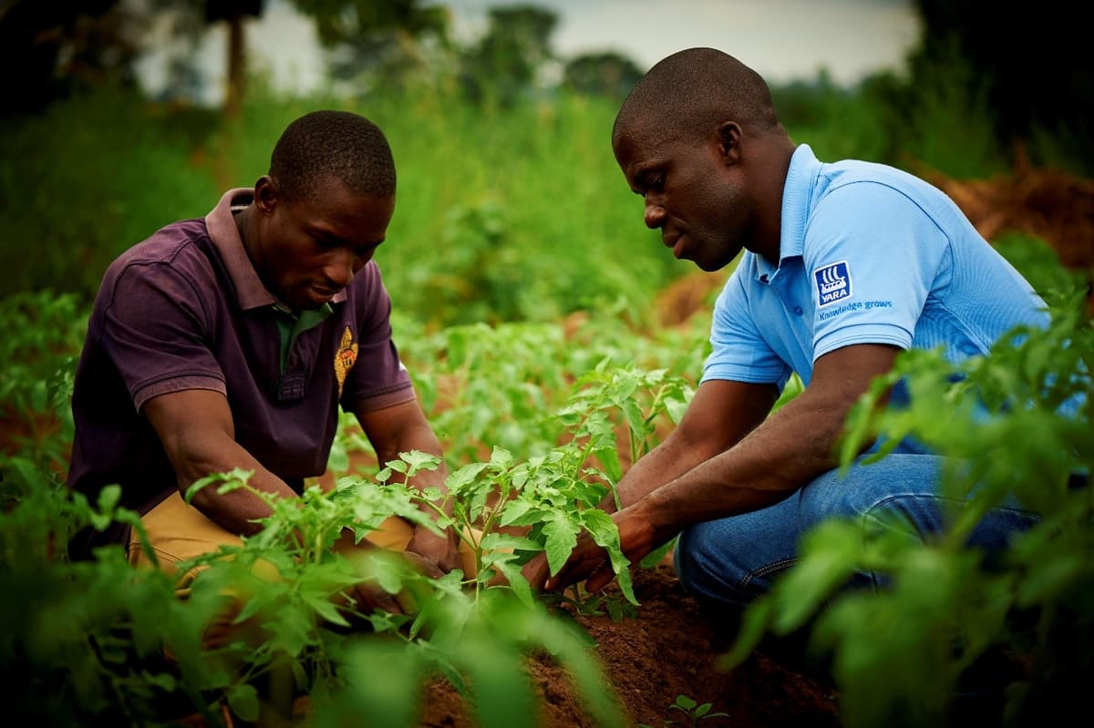 Crop Nutrition Solutions